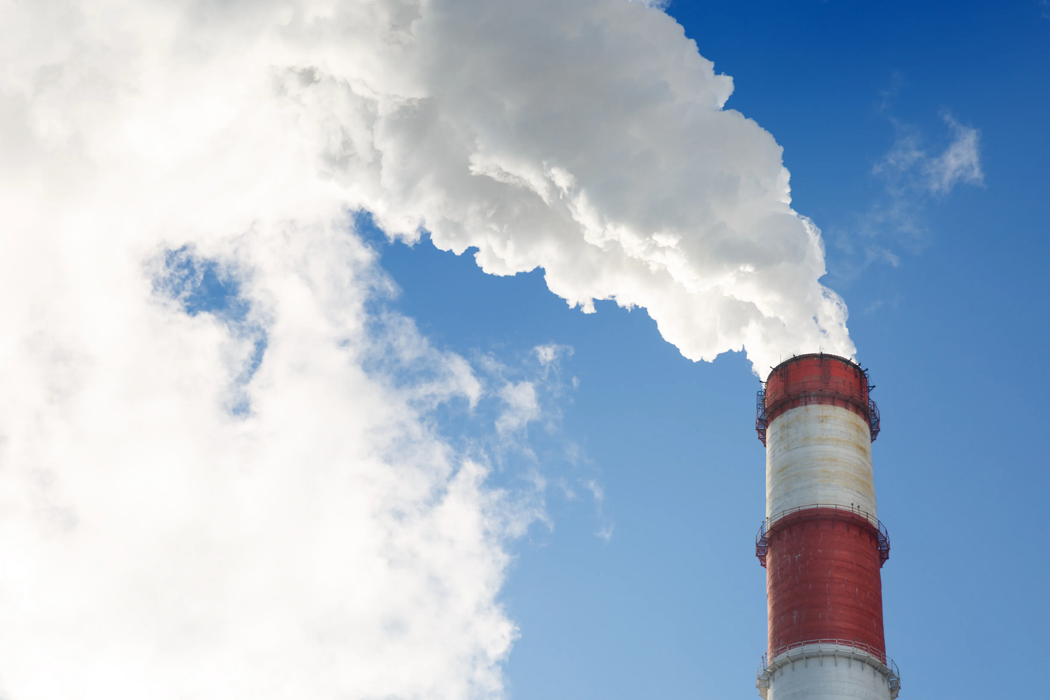 Panthera Group × Vateris